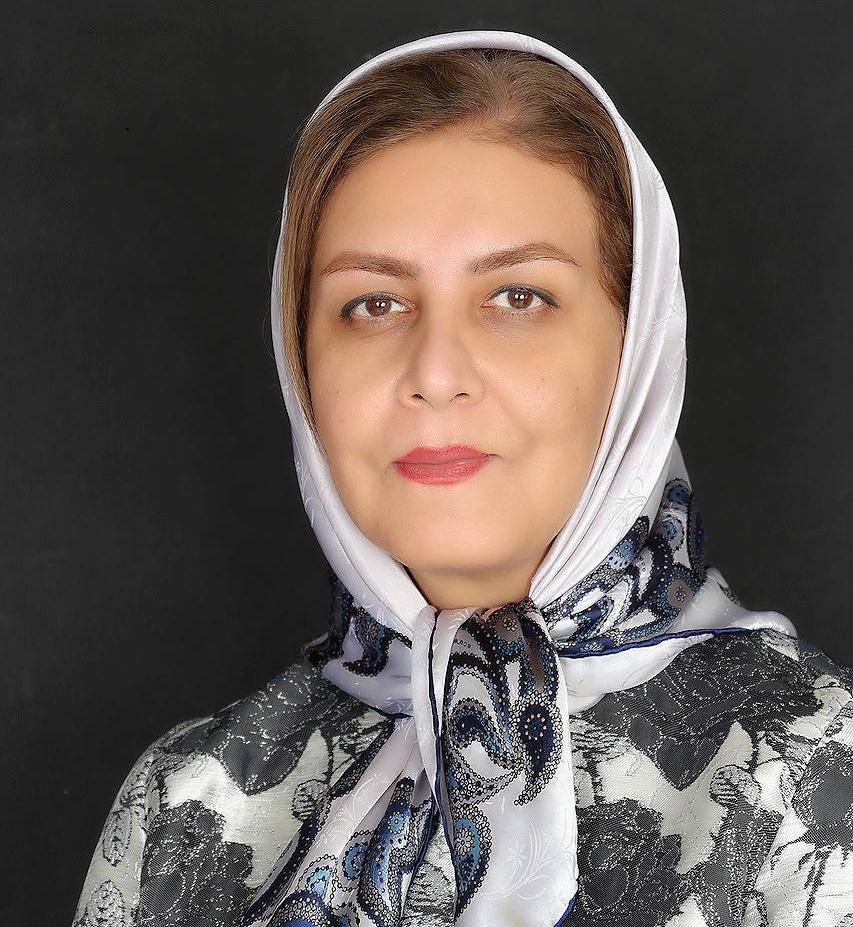 مینا نظامی